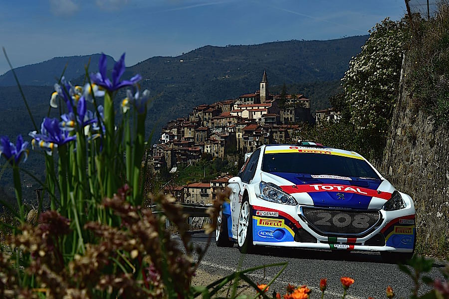 Paolo Andreucci, Anna Andreussi (Peugeot 208 T16 R3 #3)
