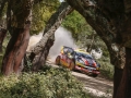 Martin Prokop in amongst the cork trees on day one of Rally Italia Sardegna on June 6th 2014 // McKlein/Red Bull Content Pool // P-20140608-00617 // Usage for editorial use only // Please go to www.redbullcontentpool.com for further information. //