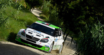 La Skoda S2000 di Scandola protagonista nel 2014