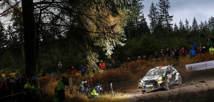 La Fiesta di Bertelli sulle speciali Gallesi sotto i flash