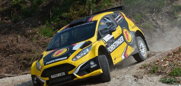 La Fiesta R5 in gillo di Mayr.