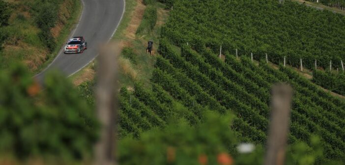 Una panoramica dalle prove speciali di Langa, sedi del Rally Regione Piemonte.