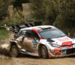 Bertelli in azione sulle speciali Senesi