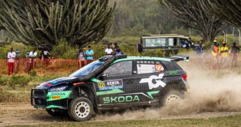 GREENSMITH LEONE D’AFRICA La Fabia RS di Greensmith regina d'Africa