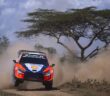 Tanak sulle piste del Safari l'anno passato