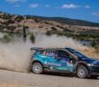 La Fabia RS di Battistolli in azione