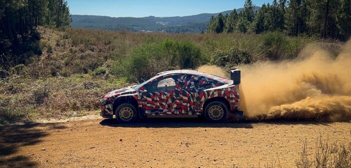 TOYOTA AL MONTE CON 6 VETTURE